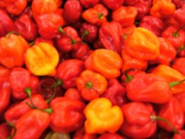 PIMENTS ANTILLAIS
